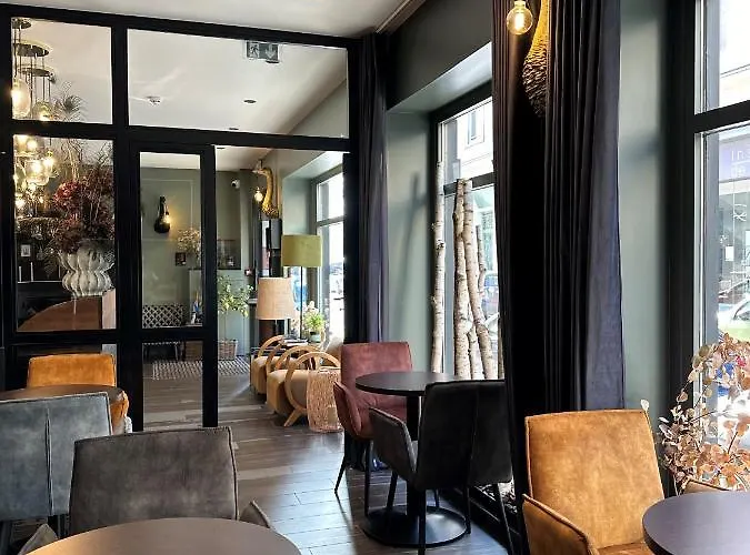 Paulette Centre Cathédrale 3*